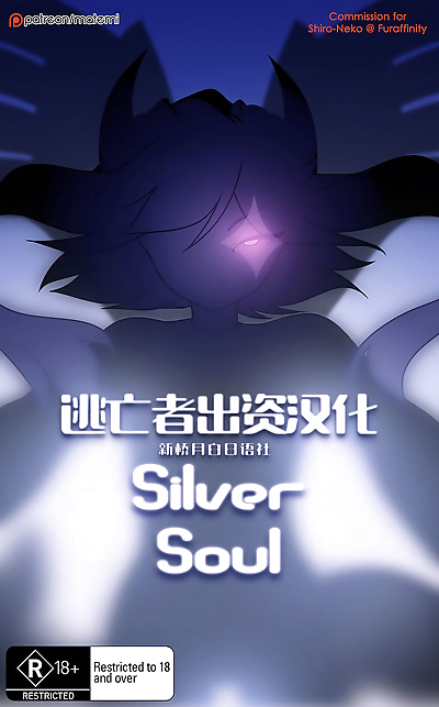 Silber Seele